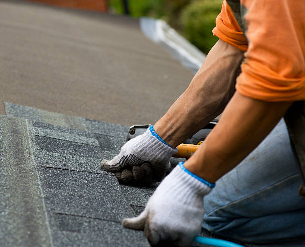 Best Roof Gutter Cleaning  in Pacifi, CA